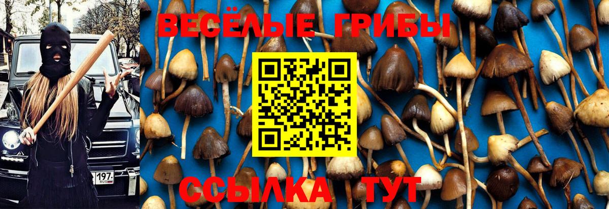 Галлюциногенные грибы мицелий  Галлюциногенные грибы Cubensis  Советская Гавань  Вход с VPN 