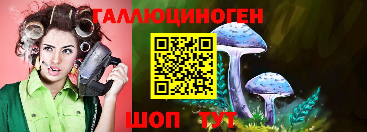 Галлюциногенные грибы мухоморы Советская Гавань